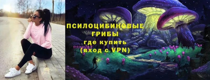 Галлюциногенные грибы мицелий  продажа наркотиков  Великие Луки 